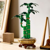 LEGO 10344 ICONS Botanicals Dracena sandera Kwiaty w doniczce Bambus Nowość