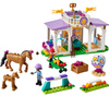 LEGO Friends 41746 Szkolenie koni