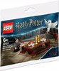 LEGO Harry Potter 30420 Figurka Harry i Sowa Hedwiga Saszetka Polybag
