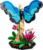 LEGO Ideas 21342 Kolekcja owadów Insect Collection Modliszka Motyl Chrząszc