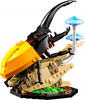 LEGO Ideas 21342 Kolekcja owadów Insect Collection Modliszka Motyl Chrząszc