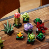 LEGO ICONS 10309 Sukulenty Kwiaty Rośliny Ozdoba Dekoracja Botanical Colect