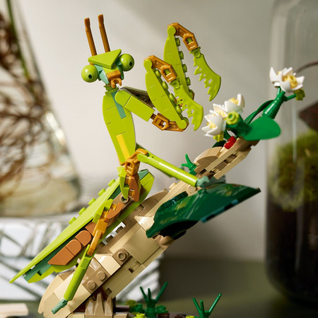 LEGO Ideas 21342 Kolekcja owadów Insect Collection Modliszka Motyl Chrząszc
