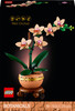 OUTLET LEGO Mała ORCHIDEA 10343 Botanical Collection - Mała orchidea Kwiaty icons