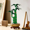 LEGO 10344 ICONS Botanicals Dracena sandera Kwiaty w doniczce Bambus Nowość