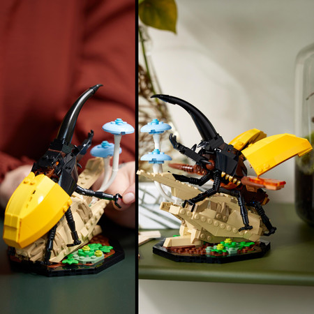 LEGO Ideas 21342 Kolekcja owadów Insect Collection Modliszka Motyl Chrząszc