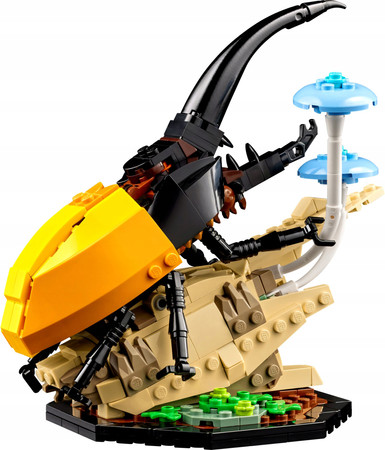 LEGO Ideas 21342 Kolekcja owadów Insect Collection Modliszka Motyl Chrząszc