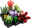 LEGO ICONS 10309 Sukulenty Kwiaty Rośliny Ozdoba Dekoracja Botanical Colect