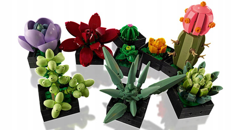 LEGO ICONS 10309 Sukulenty Kwiaty Rośliny Ozdoba Dekoracja Botanical Colect