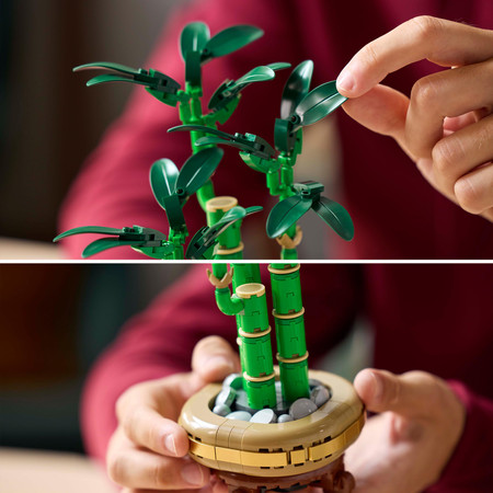 LEGO 10344 ICONS Botanicals Dracena sandera Kwiaty w doniczce Bambus Nowość