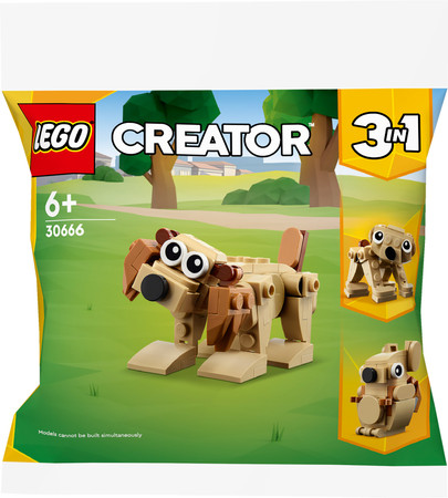 LEGO Creator 30666 Prezentowe zwierzęta Pies Niedźwiadek Wiewiórka